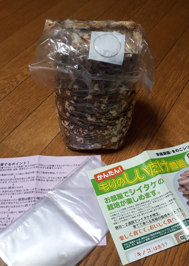 しいたけ栽培キット