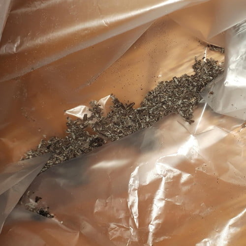 エアコン黒カビ