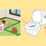 親の介護、消臭